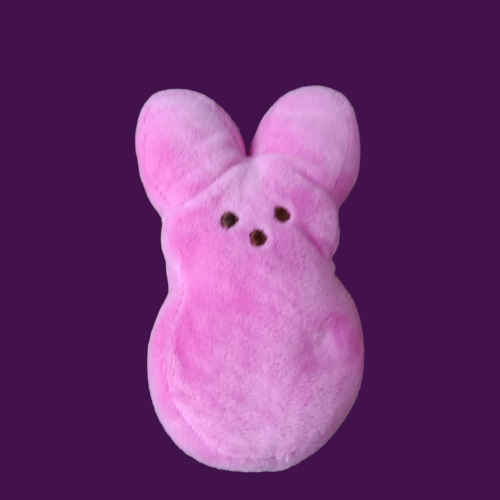 Peeps Pink Bunny Rabbit Plush small 5.5” Stuffed Animal Easter Gently Preloved